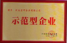示范型企业